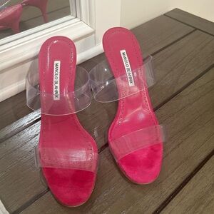 Manolo Blahnik Fuchsia Heels with Clear Straps